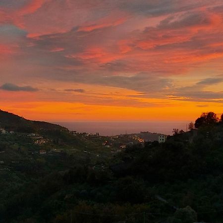 Il Nido Del Viaggiatore Vallebona Luaran gambar