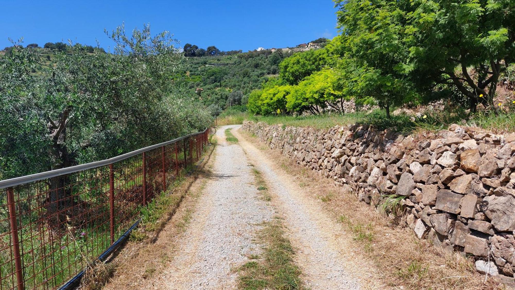 Il Nido Del Viaggiatore Vallebona Luaran gambar