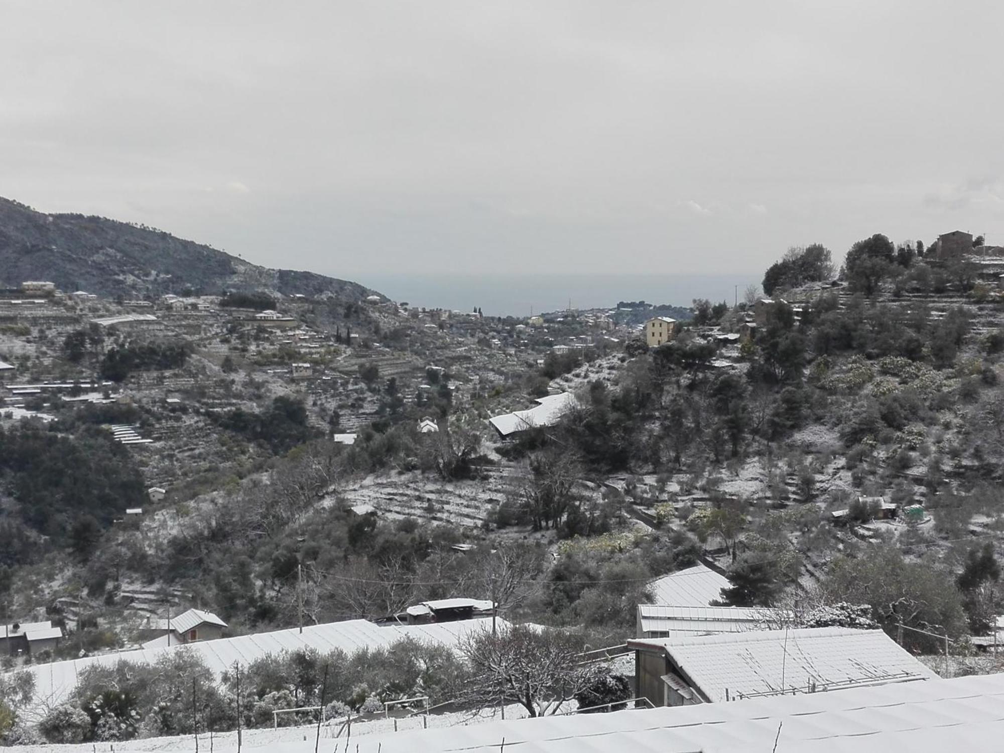 Il Nido Del Viaggiatore Vallebona Luaran gambar